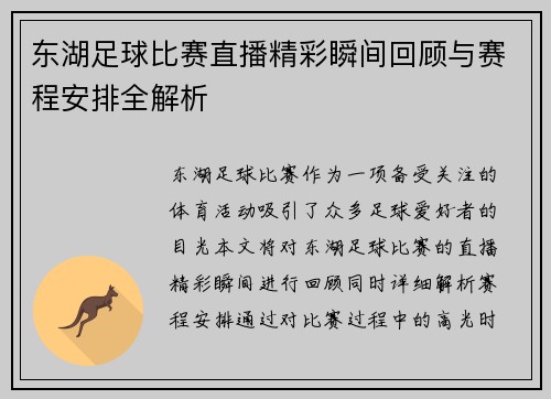 东湖足球比赛直播精彩瞬间回顾与赛程安排全解析